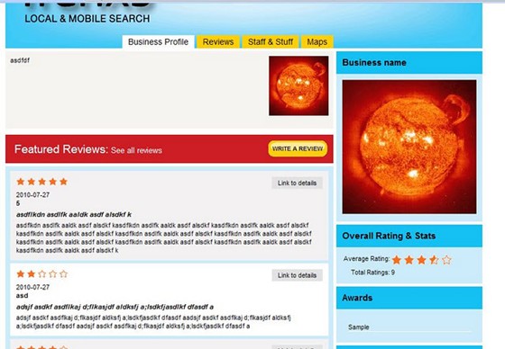 Web Development: Trafixs.com (Local Business Reviews)